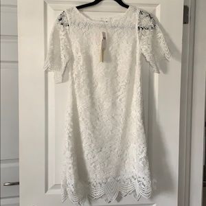 NWT Scalloped lace dress